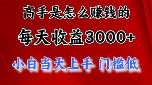 （12144期）1天收益3000+，月收益10万以上，24年8月份爆火项目-网创项目
