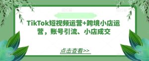 TikTok短视频运营+跨境小店运营，账号引流、小店成交-网创项目