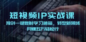 (12193期)短视频 IP实战课,独创一键复制学习秘籍,转战新领域,月赚五万轻松行-网创项目