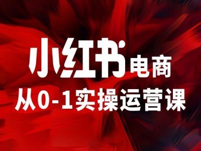 小红书电商从0-1实操运营课,让你从小白到精英-网创项目
