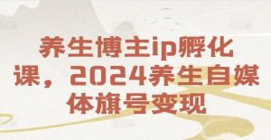 养生博主ip孵化课，2024养生自媒体旗号变现-网创项目