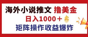 （12333期）最新海外小说推文撸美金，日入1000＋ 蓝海市场，矩阵放大收益爆炸-网创项目