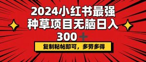 (12336期)2024小红书最强种草项目,无脑日入300+,复制粘帖即可,多劳多得-网创项目