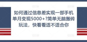 如何通过信息差实现一部手机单月变现5000+?简单无脑搬砖玩法，快看看适不适合你【揭秘】-网创项目