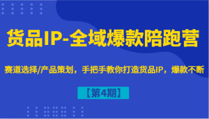 货品IP-全域爆款陪跑营【第4期】赛道选择/产品策划，手把手教你打造货品IP，爆款不断-网创项目
