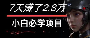 7天赚了2.8万!每单利润最少500+,轻松月入7万+小白有手就行-网创项目