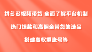 拼多多视频带货 全面了解平台机制、热门爆款和高佣金带货的选品，搭建高权重账号等-网创项目
