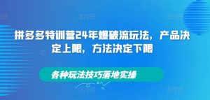拼多多特训营24年爆破流玩法,产品决定上限,方法决定下限,各种玩法技巧落地实操-网创项目