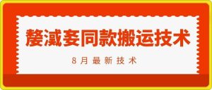 抖音96万粉丝账号【嫠㵄㚣】同款搬运技术-网创项目