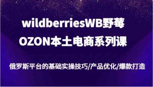 wildberriesWB野莓/OZON本土电商系列课，俄罗斯平台的基础实操技巧/产品优化/爆款打造-网创项目