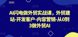 AI闪电做外贸实战课，​外贸建站-开发客户-内容营销-从0到3做外贸AI(更新)-网创项目