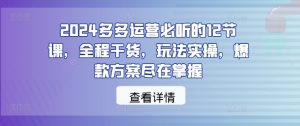 2024多多运营必听的12节课，全程干货，玩法实操，爆款方案尽在掌握-网创项目