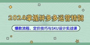 2024掌握拼多多运营精髓:爆款流程、定价技巧与SKU设计实战课-网创项目