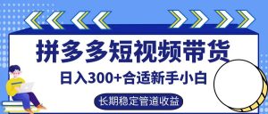 拼多多短视频带货日入300+,实操账户展示看就能学会-网创项目