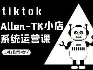 TK小店系统运营课-tiktok跨境电商教程-网创项目