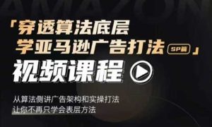 穿透算法底层,学亚马逊广告打法SP篇,从算法侧讲广告架构和实操打法,让你不再只学会表层方法-网创项目