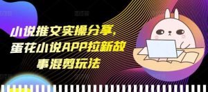 小说推文实操分享，蛋花小说APP拉新故事混剪玩法-网创项目