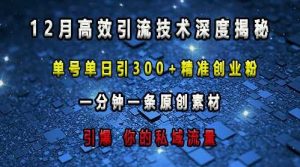 最新高效引流技术深度揭秘 ,单号单日引300+精准创业粉,一分钟一条原创素材,引爆你的私域流量-网创项目
