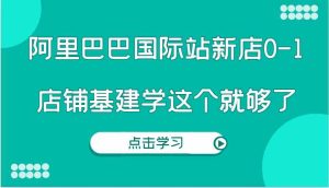 阿里巴巴国际站新店0-1，个人实践实操录制从0-1基建，店铺基建学这个就够了-网创项目