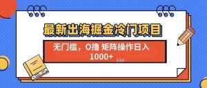 （13672期）最新出海掘金冷门项目，单号日入1000+-网创项目