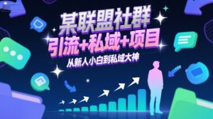 某联盟社群，引流+私域+项目，从新人小白到私域大神-网创项目