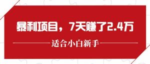 最新暴利项目，每单收益轻松在300以上，7天赚了2.4万-网创项目