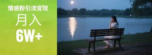 情感粉引流变现实操课：单月变现6w+，情感粉引流变现实操课-网创项目