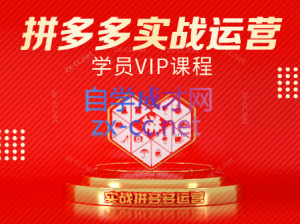 推易电商·拼多多实战运营课(更新2025月)-网创项目