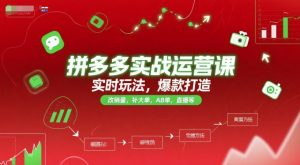 拼多多实战运营课，实时玩法，爆款打造，改销量，补大单，AB单，直播等(更新2025月)-网创项目