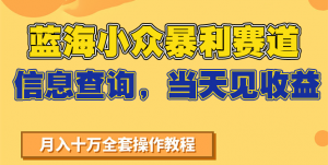 蓝海小众暴利赛道，信息查询，当天见收益，不讲玄学，7天搞了2万+-网创项目