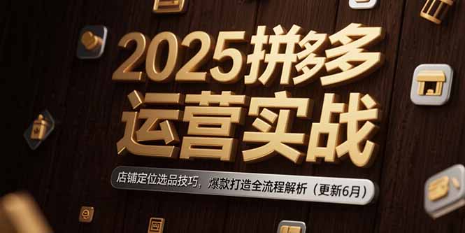 2025拼多多运营实战：店铺定位选品技巧，爆款打造全流程解析(更新6月-网创项目