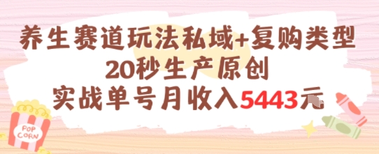 养生赛道玩法私域+复购类型，20秒生产原创实战单号月收入5k+-网创项目