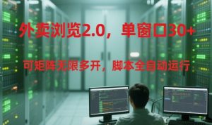 外卖浏览2.0，单窗口30+可矩阵无限多开，脚本全自动运行【揭秘】-网创项目