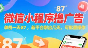 微信小程序看广告，单机一天87，新平台刚出几天，可批量操作，日入5张-网创项目