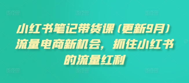 小红书笔记带货课(更新25年6月)流量电商新机会，抓住小红书的流量红利-网创项目