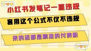 小红书发笔记一直违规，套用这个公式不仅不违规，来的还都是精准的付费粉-网创项目