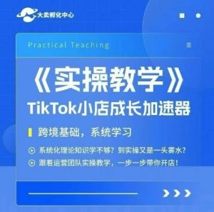 大卖家孵化中心TikTok实操课,TikTok小店成长加速器,跨境基础系统学习,一步一步带你开店-网创项目