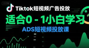Tiktok短视频广告投放,适合0-1小白学习ADS短视频投放课-网创项目