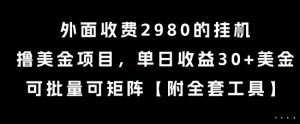 外面收费2980的挂G撸美金项目,单日收益30+美金,可批量可矩阵【揭秘】-网创项目