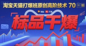 淘宝天猫打爆班原创高阶技术第70期:标品干爆-网创项目