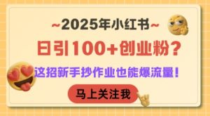 2025年小红书日引100+创业粉？这招新手抄作业也能爆流量！-网创项目