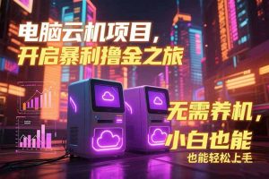 电脑云机项目 暴力撸金玩法，不需要养机 配置没有要求 单机100个窗口一…-网创项目