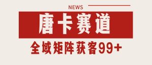 唐卡赛道私域引流获客 自热矩阵SOP日引流99+精准客资-网创项目