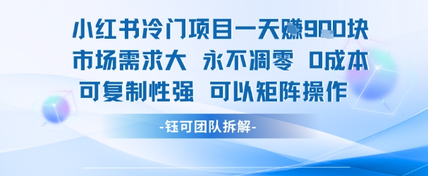 小红书冷门项目一天收益9张，市场需求大，0成本，可复制性强可以矩阵操作-网创项目