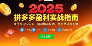 拼多多盈利实战指南,强付费玩法,活动爆流技术,微付费破局方案(更新7月-网创项目