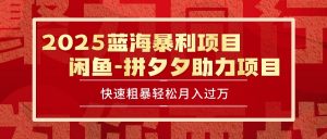 2025 最新闲鱼蓝海暴利项目 快速粗暴单号日入1000+，保姆级教程-网创项目