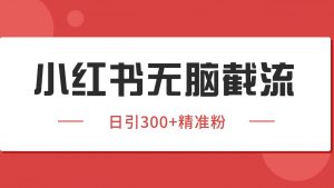 小红书截流同行客源,独家野路子获客玩法 日引200+暴力获客-网创项目