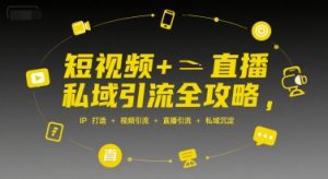 短视频+直播私域引流全攻略，IP打造 +视频引流 +直播引流 +私域沉淀-网创项目