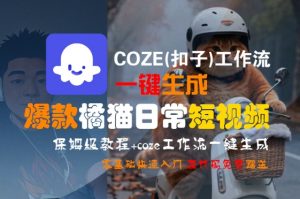 COZE(扣子)工作流一键生成爆款橘猫日常短视频，保姆级教程，零基础快速入门-网创项目
