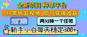 全新项目 种草平台 只需要转发任务视频 即可获得收益 新手小白每天300+-网创项目